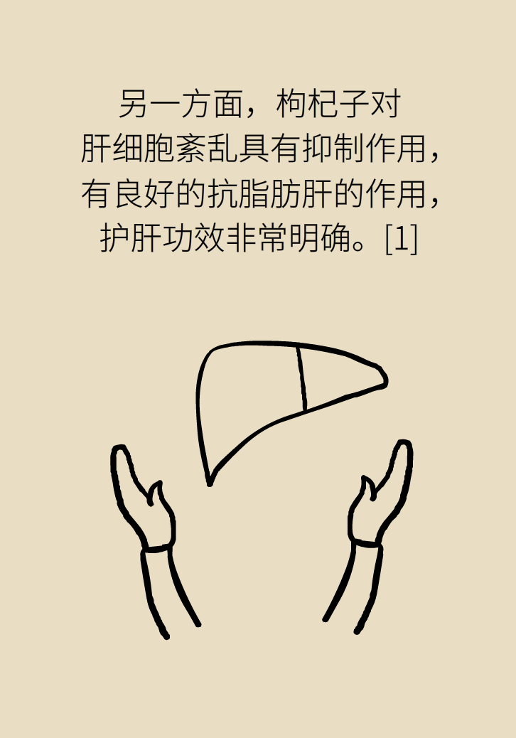 成天喝著枸杞茶，它真的適合你嗎？