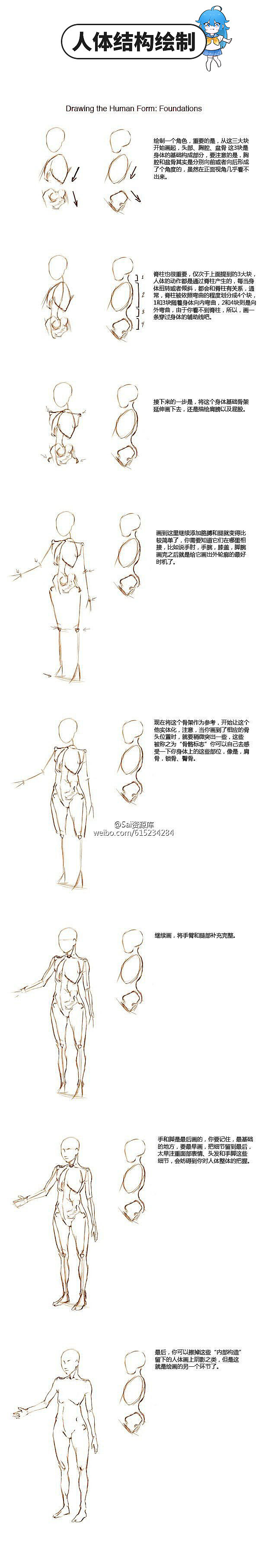 動漫人體結構繪制與參考素材 動漫人體結構繪制與參考素材