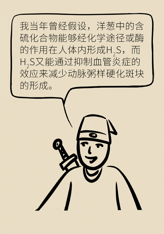 洋蔥可以預(yù)防動脈硬化，是真的嗎？