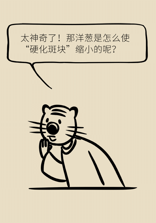 洋蔥可以預(yù)防動脈硬化，是真的嗎？