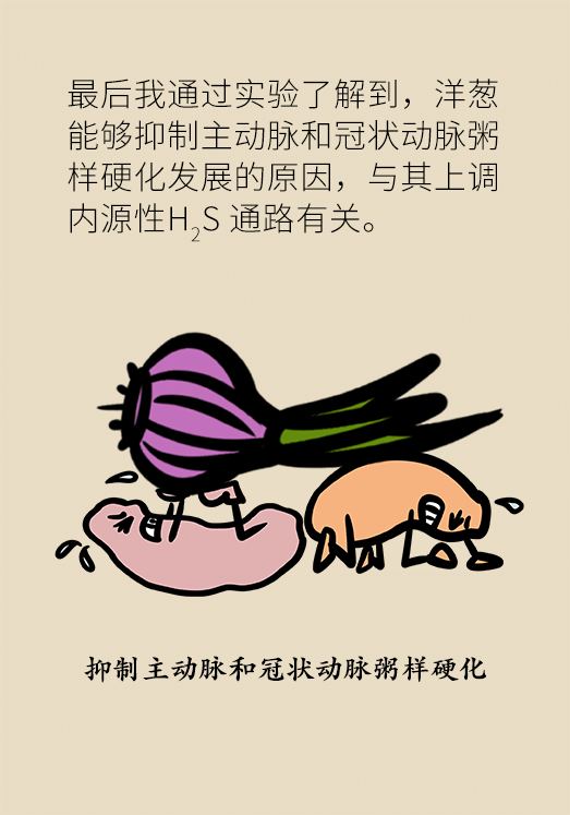 洋蔥可以預(yù)防動脈硬化，是真的嗎？