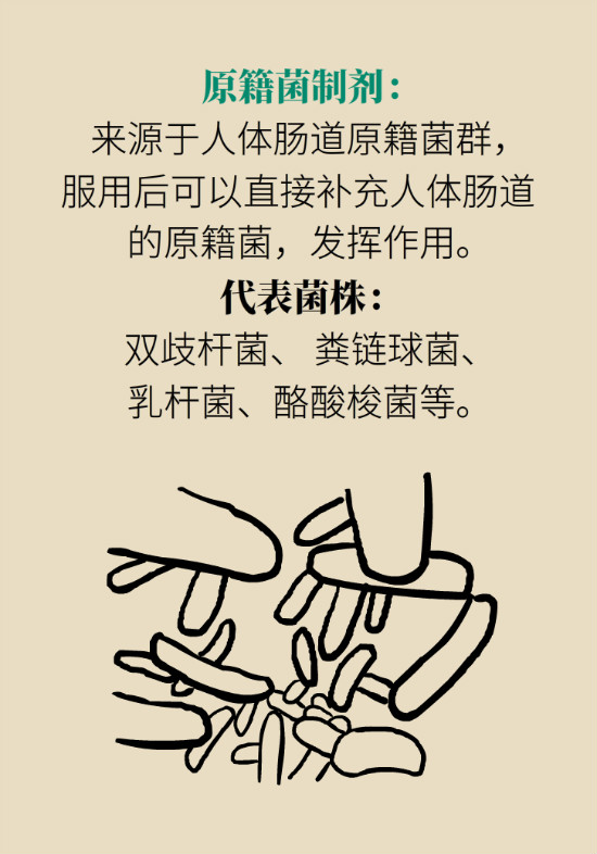 益生菌真能提高免疫力嗎？專家提醒注意這8點