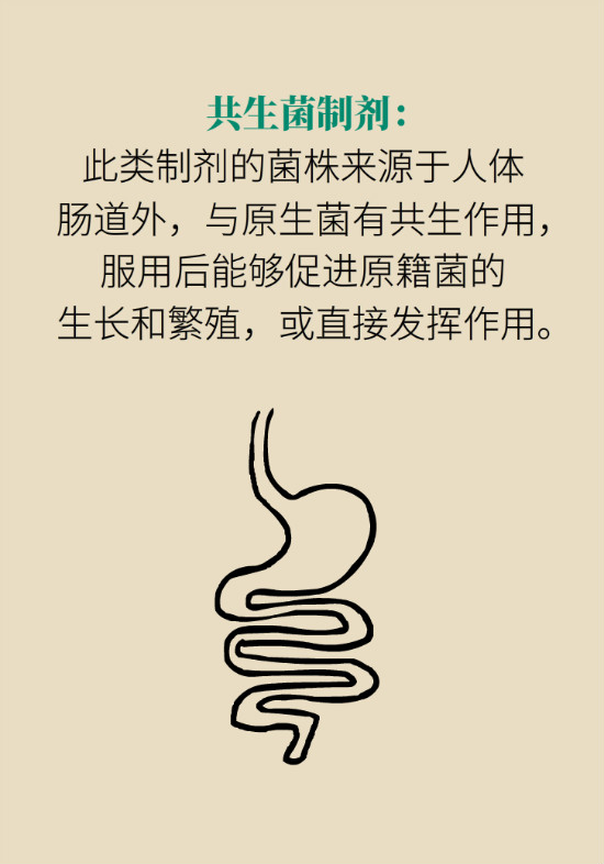 益生菌真能提高免疫力嗎？專家提醒注意這8點