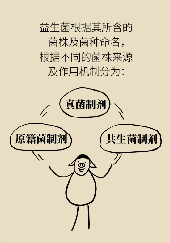 益生菌真能提高免疫力嗎？專家提醒注意這8點