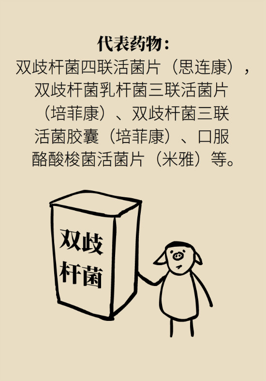 益生菌真能提高免疫力嗎？專家提醒注意這8點