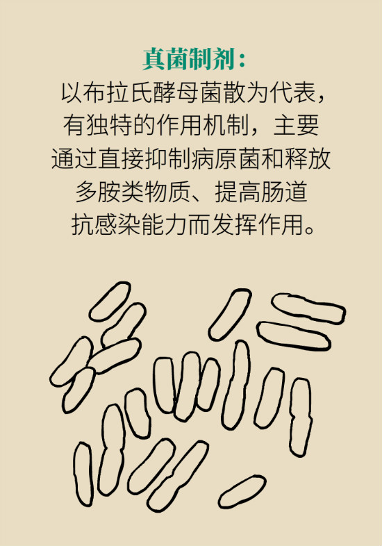 益生菌真能提高免疫力嗎？專家提醒注意這8點