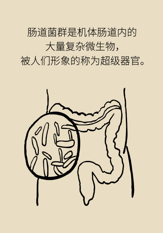 益生菌真能提高免疫力嗎？專家提醒注意這8點