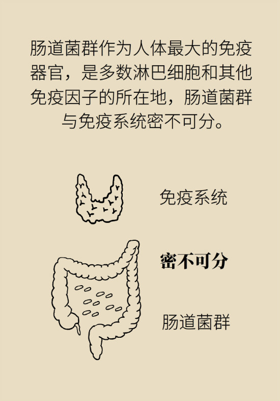 益生菌真能提高免疫力嗎？專家提醒注意這8點