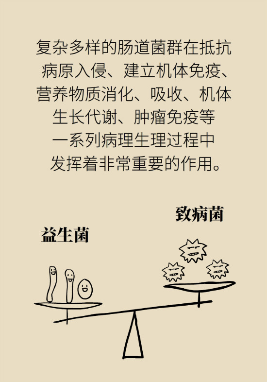 益生菌真能提高免疫力嗎？專家提醒注意這8點