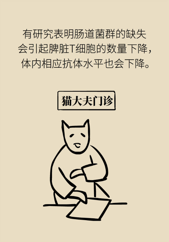 益生菌真能提高免疫力嗎？專家提醒注意這8點