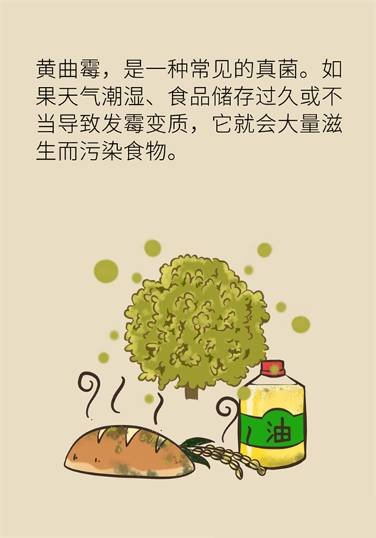 大米食油里也有致癌毒素，專家教你如何避開它