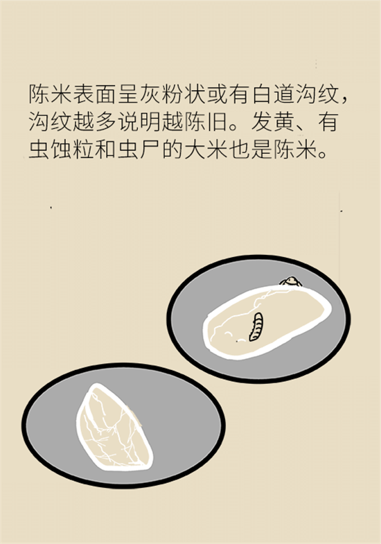 大米食油里也有致癌毒素，專家教你如何避開它