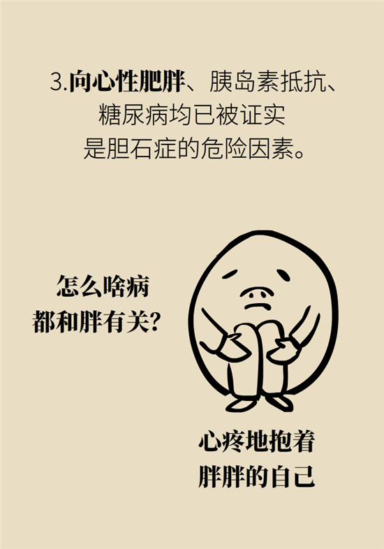 膽結(jié)石主要成分竟是膽固醇？預(yù)防它只需四個(gè)字