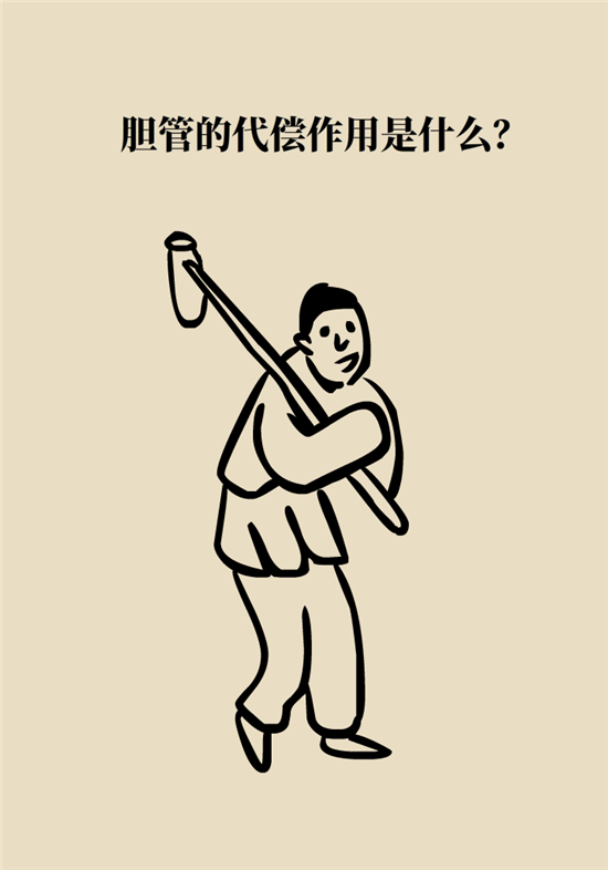 膽結(jié)石主要成分竟是膽固醇？預(yù)防它只需四個(gè)字