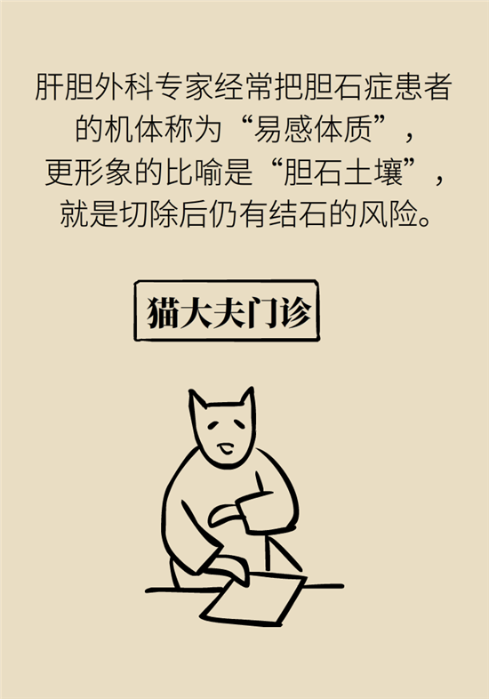 膽結(jié)石主要成分竟是膽固醇？預(yù)防它只需四個(gè)字