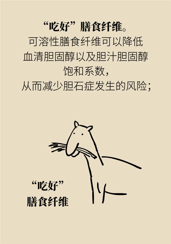 膽結(jié)石主要成分竟是膽固醇？預(yù)防它只需四個(gè)字