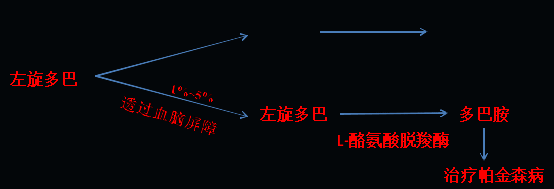 同樣的藥，為什么對(duì)他有效卻對(duì)你沒(méi)效果，可能得問(wèn)腸道菌群