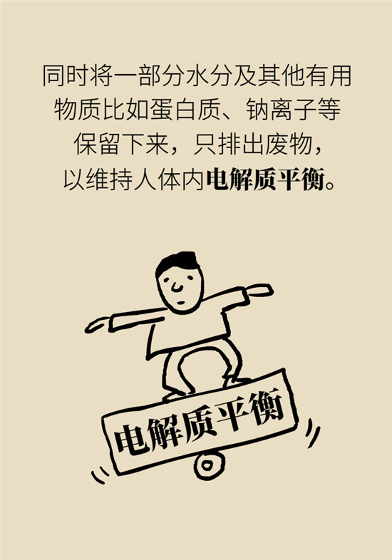 經常憋尿會得急性腎炎？