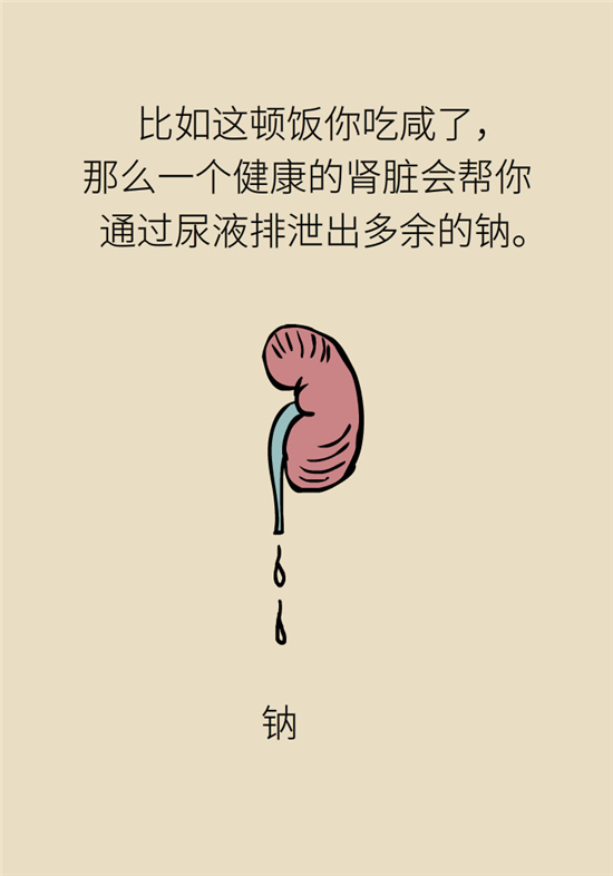 經常憋尿會得急性腎炎？