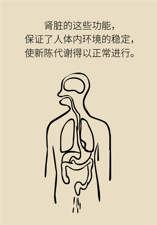 經常憋尿會得急性腎炎？