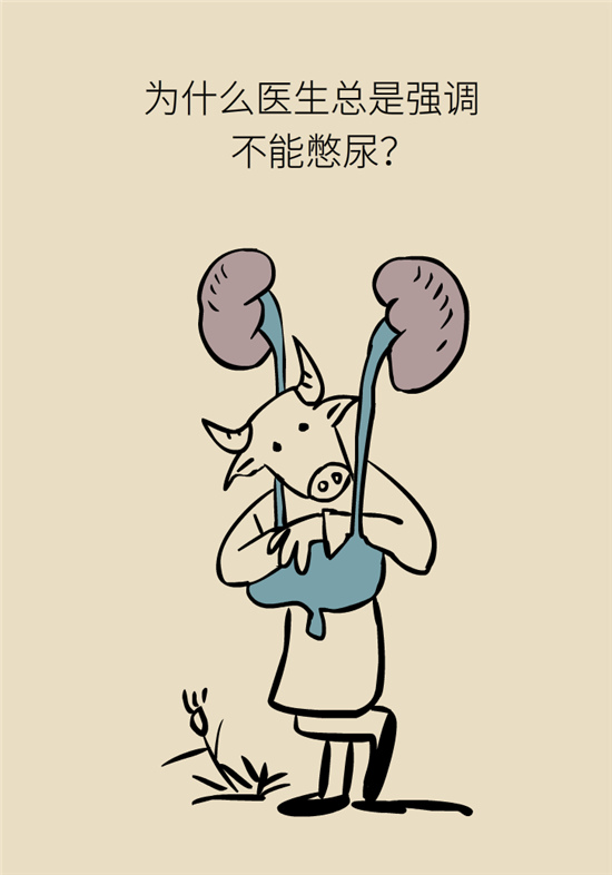 經常憋尿會得急性腎炎？