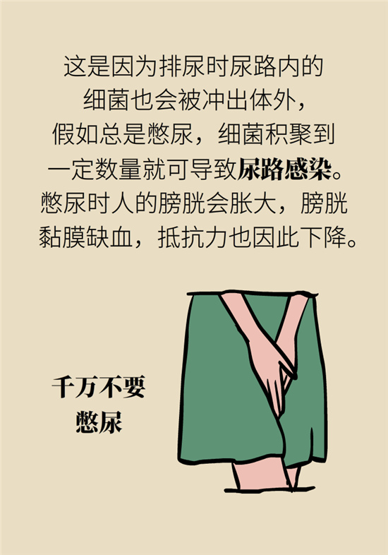 經常憋尿會得急性腎炎？