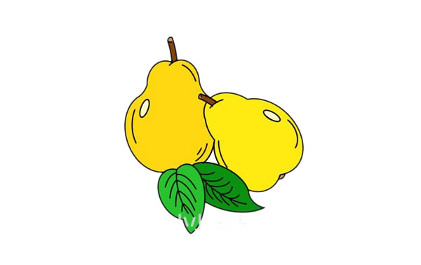 梨子怎么畫(huà)簡(jiǎn)單又好看 漂亮的梨子簡(jiǎn)筆畫(huà)步驟圖解教程