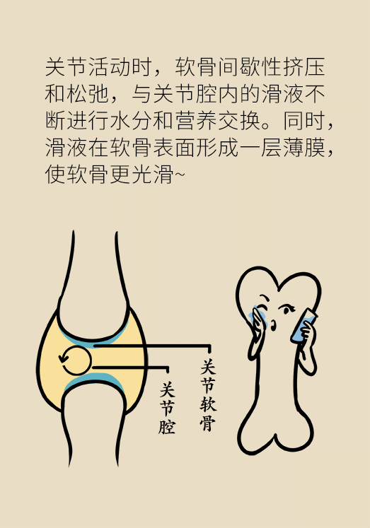人老關節(jié)也會老嗎？