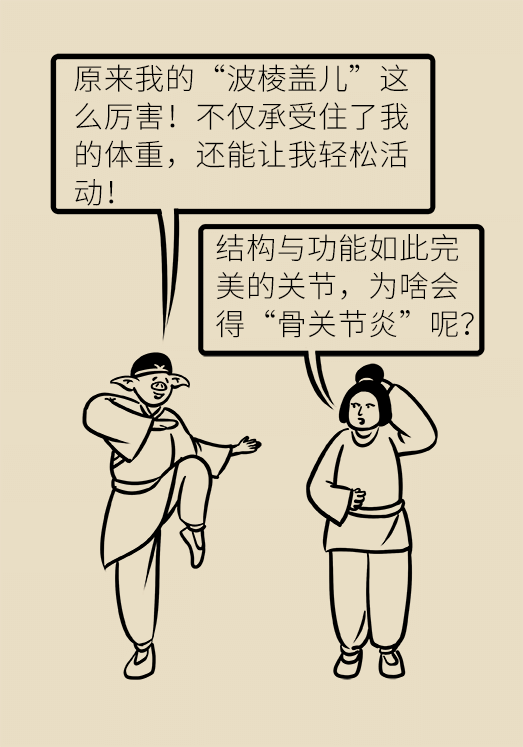 人老關節(jié)也會老嗎？