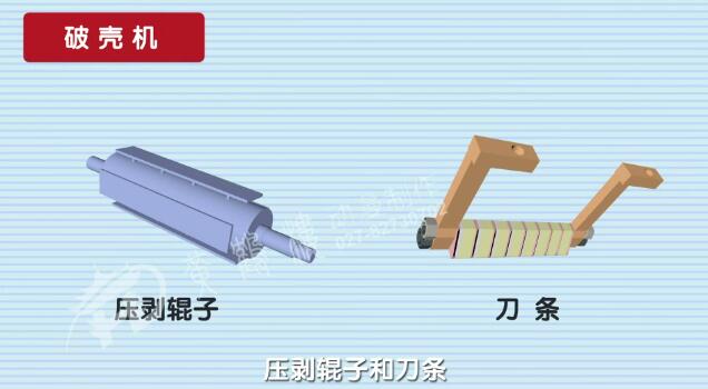 壓剝手爪是一個(gè)相對(duì)獨(dú)立的機(jī)械裝置.jpg 壓剝手爪是一個(gè)相對(duì)獨(dú)立的機(jī)械裝置.jpg