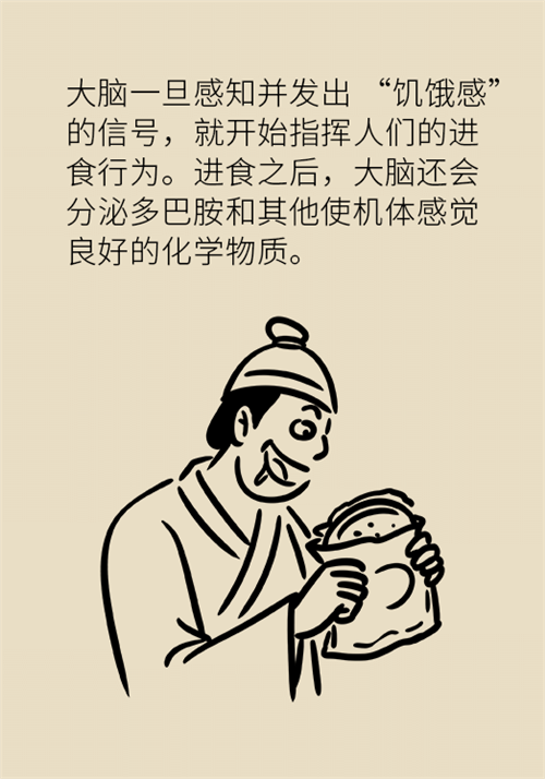 節(jié)食減肥會(huì)餓得脾氣暴躁？