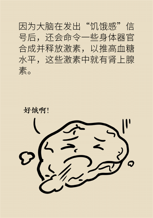 節(jié)食減肥會(huì)餓得脾氣暴躁？