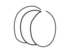 南瓜 南瓜簡(jiǎn)筆畫(huà)圖片
