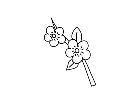 梅花 梅花簡筆畫圖片