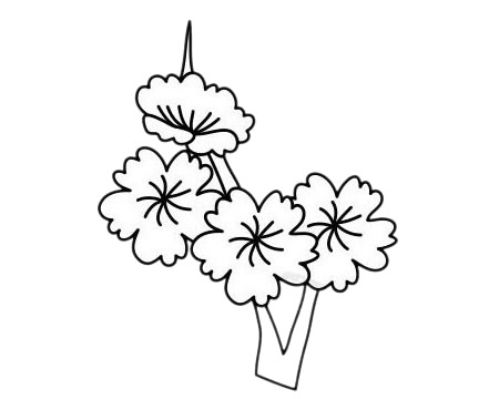 梅花 梅花簡筆畫圖片