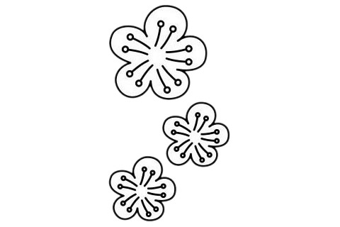 梅花 梅花簡筆畫圖片