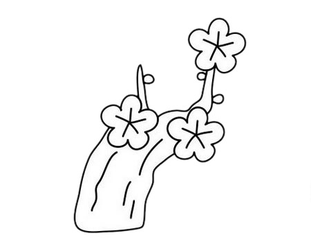 梅花 梅花簡筆畫圖片