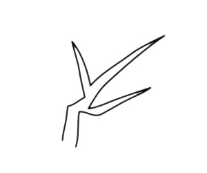 梅花 梅花簡筆畫圖片