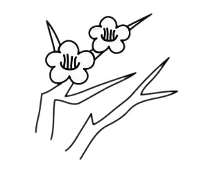 梅花 梅花簡筆畫圖片