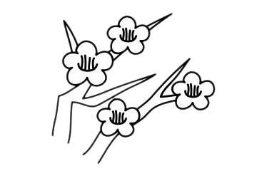 梅花 梅花簡筆畫怎么畫步驟圖解
