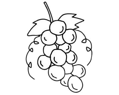 葡萄 葡萄簡(jiǎn)筆畫(huà)圖片