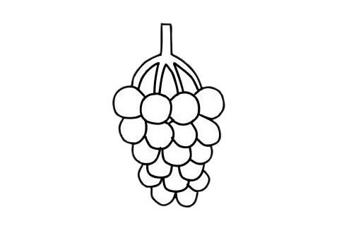 葡萄 葡萄簡(jiǎn)筆畫(huà)圖片