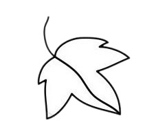 葡萄 葡萄簡(jiǎn)筆畫(huà)圖片