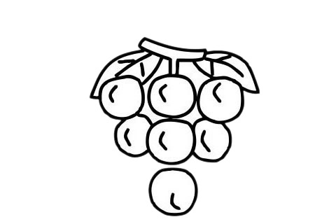 葡萄 葡萄簡(jiǎn)筆畫(huà)圖片