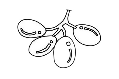 葡萄 葡萄簡(jiǎn)筆畫(huà)圖片