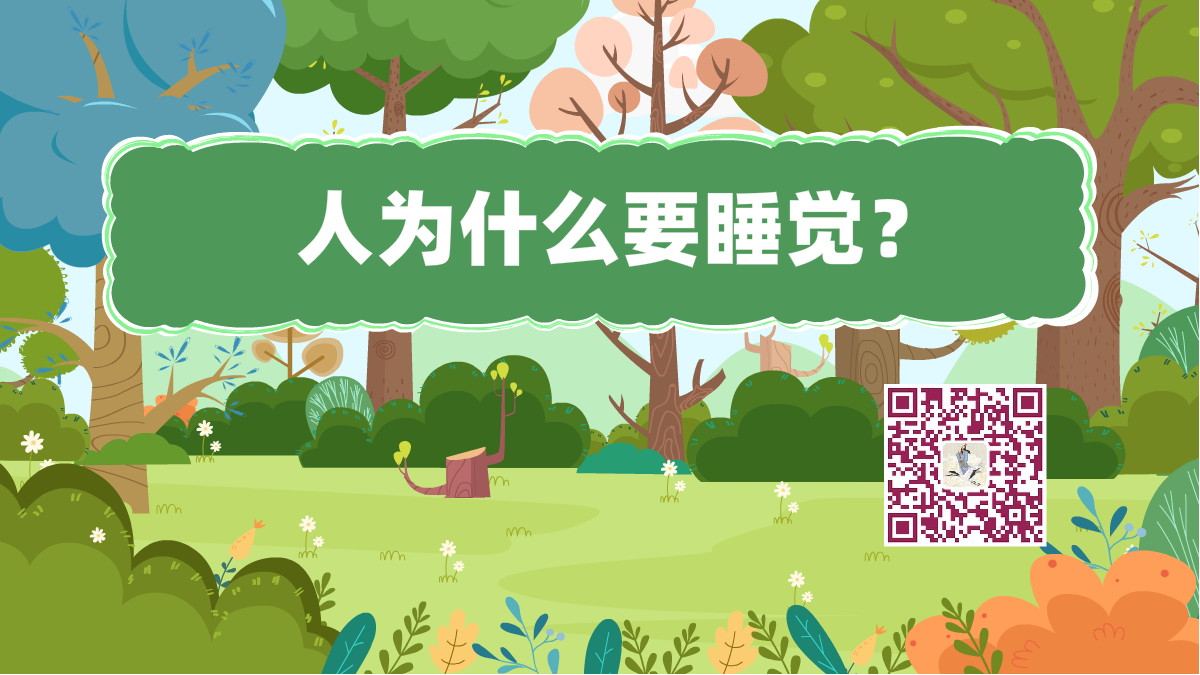十萬(wàn)個(gè)為什么標(biāo)題(人-睡覺(jué))1200.png 十萬(wàn)個(gè)為什么標(biāo)題(人-睡覺(jué))1200.png