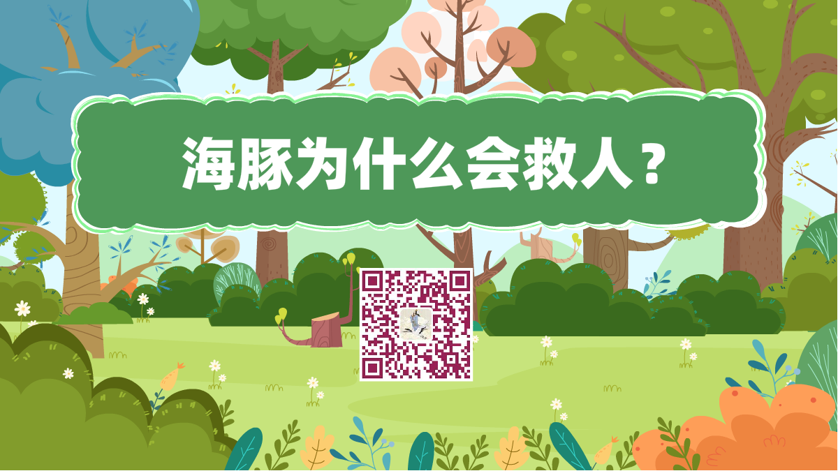 十萬(wàn)個(gè)為什么標(biāo)題（海豚救人）1200.png