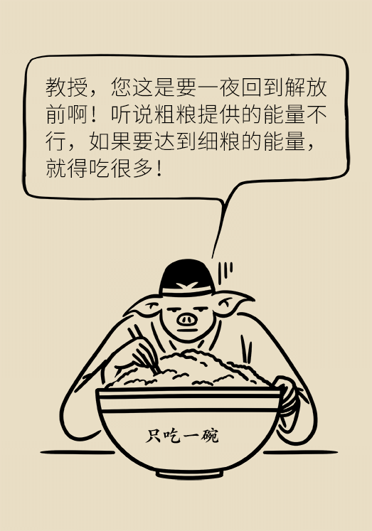 既能飽腹又能減肥的主食是什么 黑米減肥科普動(dòng)漫制作