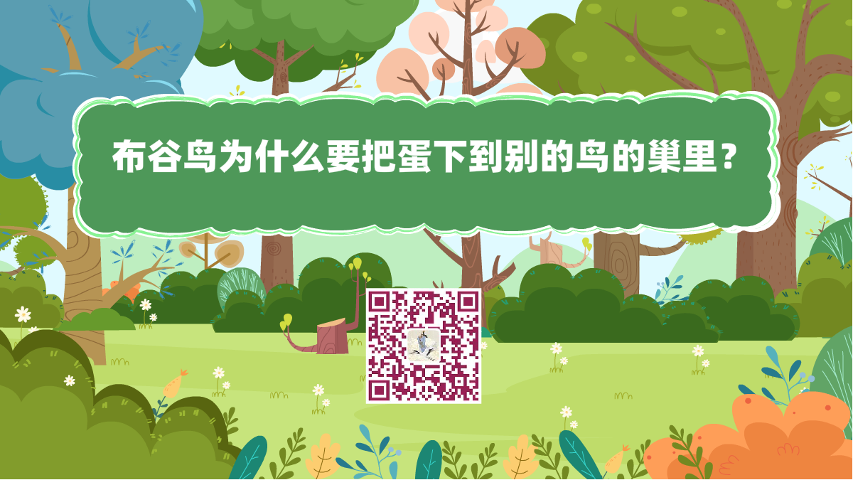 十萬個為什么標題(杜鵑為什么要把蛋下到別的鳥的巢里)1200.png 十萬個為什么標題(杜鵑為什么要把蛋下到別的鳥的巢里)1200.png