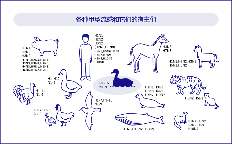 流感 流感科普動(dòng)漫制作